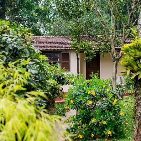 Casa Do Lenhador Villa เปโตรโปลิส ภายนอก รูปภาพ