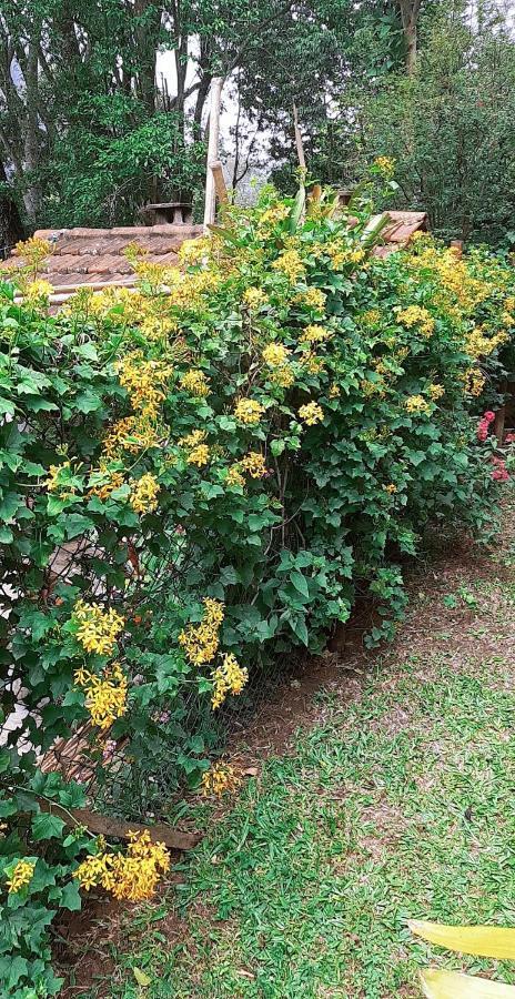 Casa Do Lenhador Villa เปโตรโปลิส ภายนอก รูปภาพ