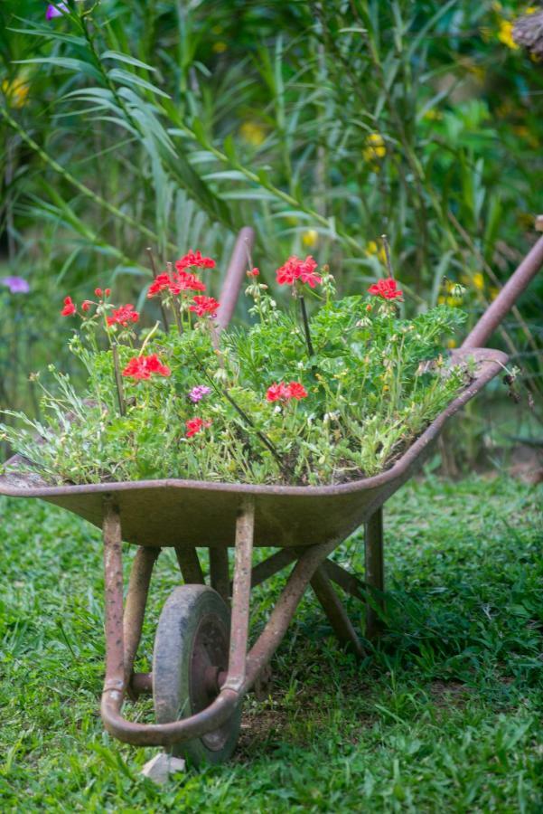Casa Do Lenhador Villa เปโตรโปลิส ภายนอก รูปภาพ