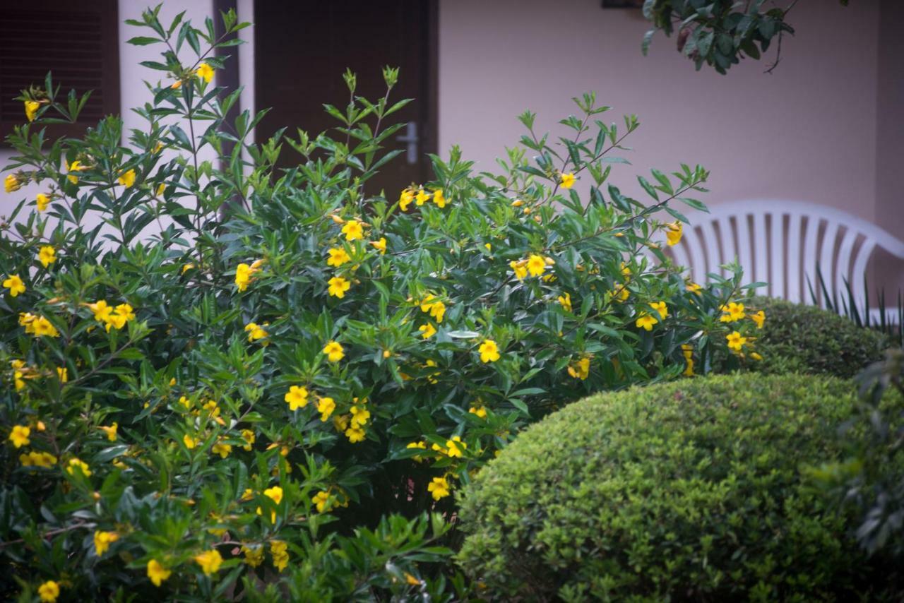 Casa Do Lenhador Villa เปโตรโปลิส ภายนอก รูปภาพ